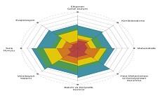 BASF Static Equipment
Risk Ranking